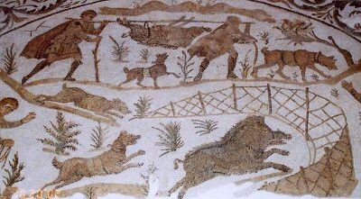 Domesticacion del cerdo