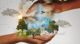 Timeline: EL CUIDADO DE LA NATURALEZA