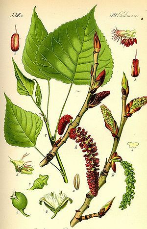 Antiguo testamento de la Biblia