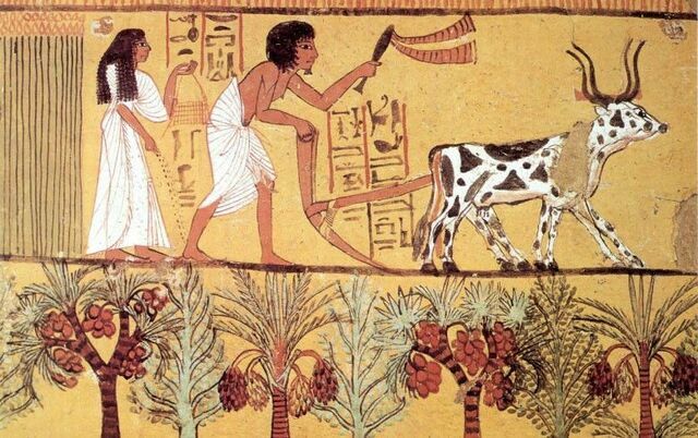 Desarrollo tecnológico general "La ganadería" en la Prehistoria-Neolítico (10 000 - 3500 a.C.)