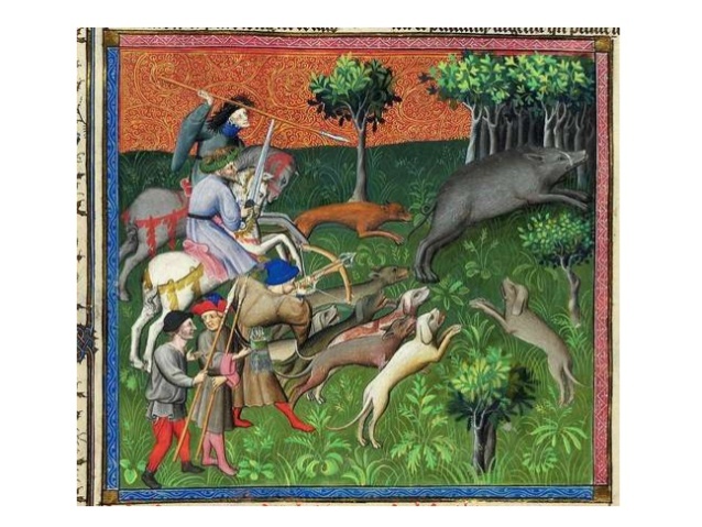 Dispersión del cerdo en américa