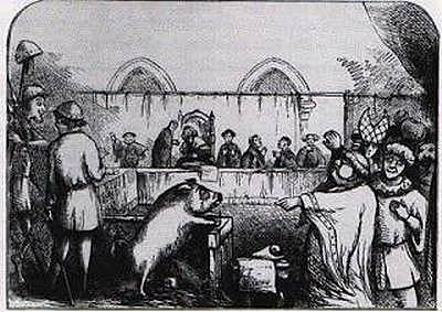 Domesticación del cerdo en Europa