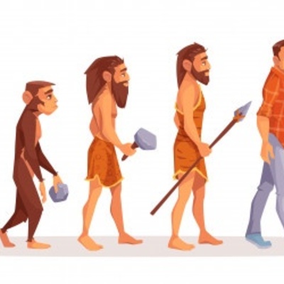 Timeline: Evolución y revoluciones