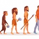 Evolucion