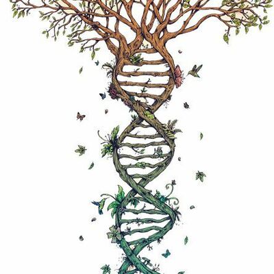 Timeline: Evolución histórica epidemiológica del proceso salud enfermedad.