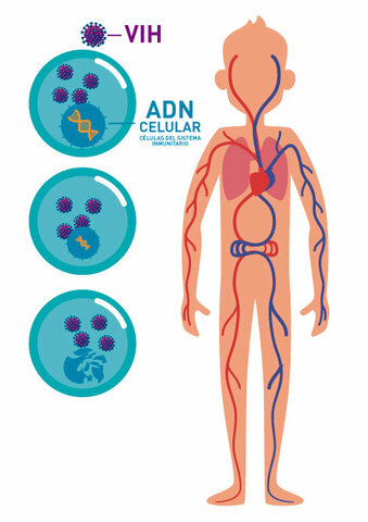 VIRUS DE IMUNODEFICIENCIA ADQUIRIDA (VIH)