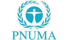 Programa de las Naciones Unidas para el Medio Ambiente (PNUMA)