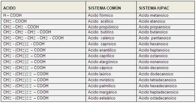 Nuevo sistema de nomenclatura