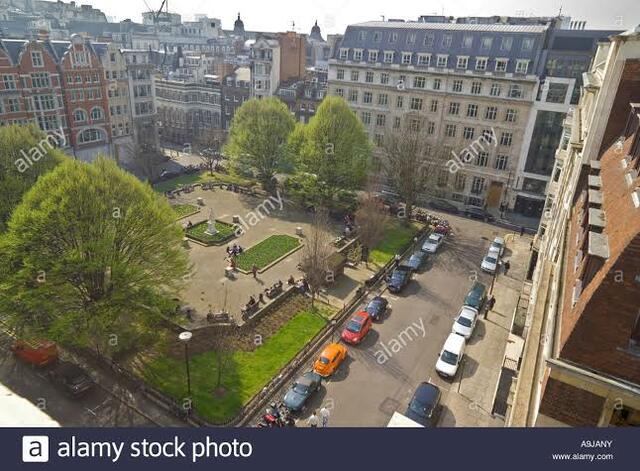 Nuevo Brote de mayor intensidad