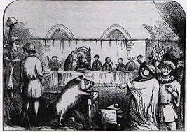 Expedición Española