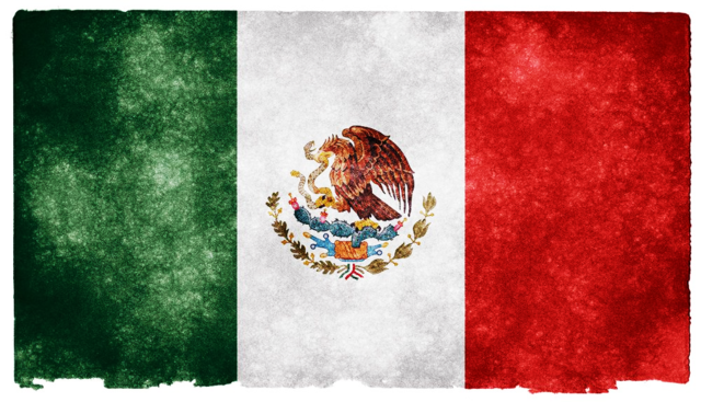 LLEGA EL CERDO A MÉXICO