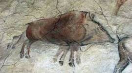 Timeline: EVOLUCION DEL CERDO HASTA NUESTROS DIAS