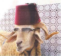 La festa del cordero (que la faig cada any pero aquest es el millor)