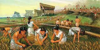 Sociedades agrarias avanzadas