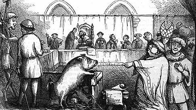 ORIGEN DE LA DOMESTICACIÓN