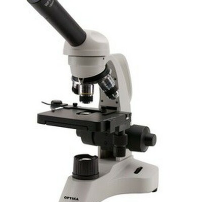 Timeline: Historia De El Microscopio