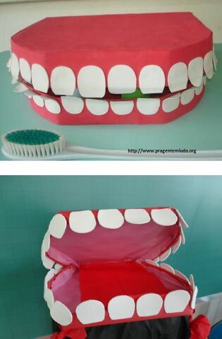 Quan s'hem va caure el primer caixal?