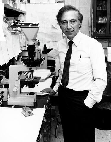 Robert Gallo identified the virus causing AIDS