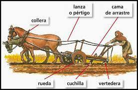 AGRICULTURA