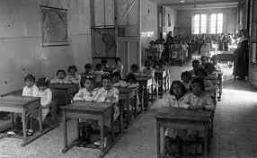 Nueva clasificación