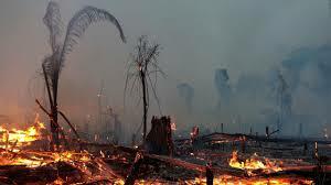 Incendi Amazones