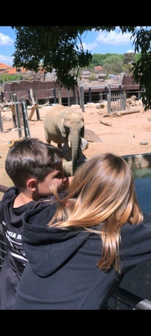 Primera vegada que vaig al zoo amb el meu cosí