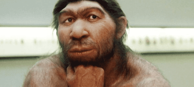 Homo neanderthalensis