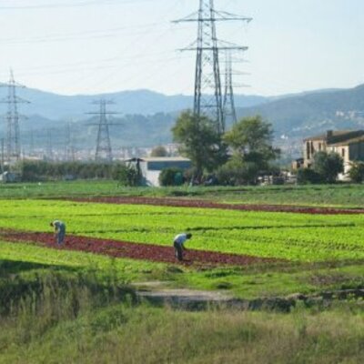 Timeline: Procés de l'STEAM Challenge