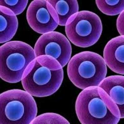 Timeline: LA EVOLUCIÓN