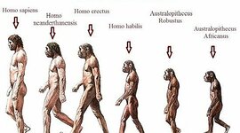 Timeline: Árbol genealógico de los homínidos