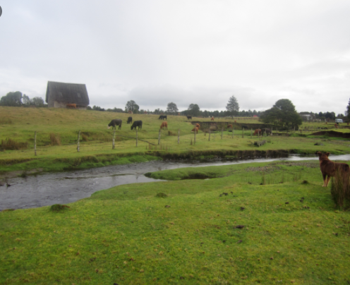 First Human Settlement