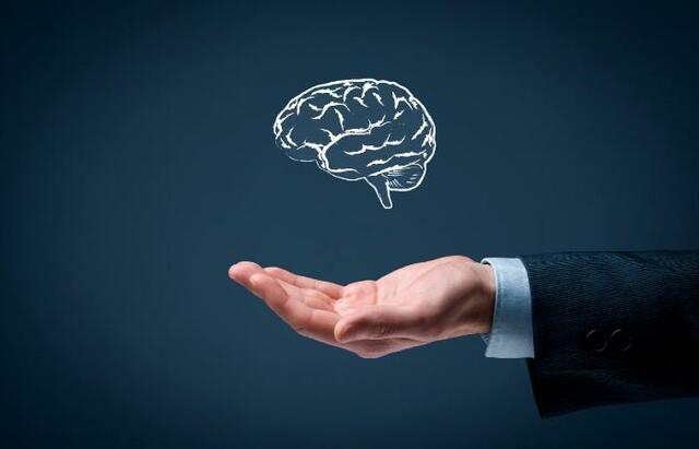 Línea General de Conocimiento