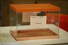 Referèndum il·legal