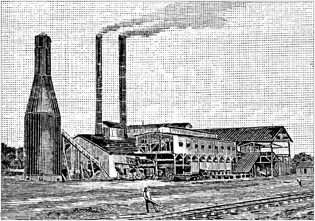 Surgimiento de los costos