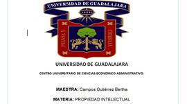 Timeline: Origen y Evolución De Propiedad Intelectual