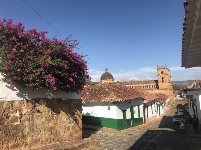 fallece el Dr. Martín Pradilla y Ayerbe