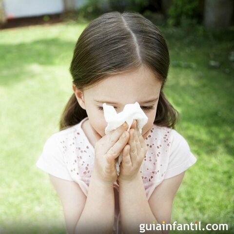 em descubreixen al.lergies