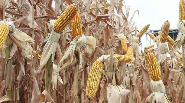 1910 a 1913 Panorama económico de la Revolución Mexicana