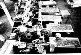 Etapa de producción