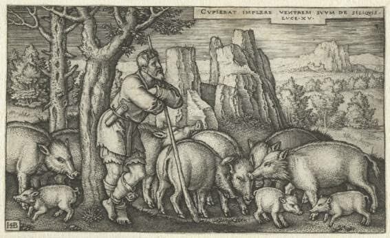 La Domesticación del Cerdo en Europa