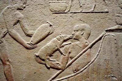 Los Cerdos en Egipto