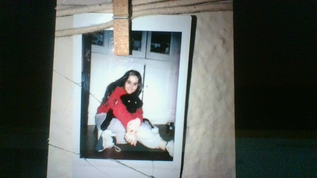 quan em van comprar un gos