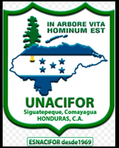 Universidad Nacional de Ciencias Forestales