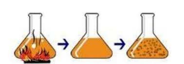 Postulado de Needham