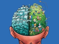 Reflejos del cerebro