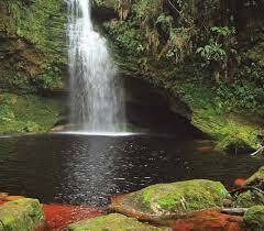 DEC 18, 1974 Formulación del Código Nacional Recursos Naturales Renovables y la Protección al Medio Ambiente