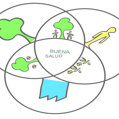 Timeline: Modelos teóricos sobre el proceso Salud-Enfermedad