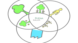 Timeline: Modelos teóricos sobre el proceso Salud-Enfermedad