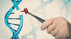 Timeline: Historia de la genetica