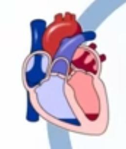 Relajación isovolumétrica